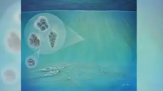 Life Rebounded Surprisingly Fast After Dinosaur Extinction