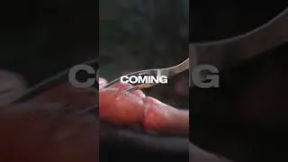 PR&Oacute;XIMAMENTE GRAN APERTURA