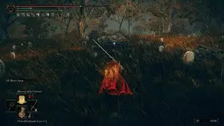 Rune Bear Dead