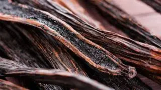 About Vanilla Indonesian Company