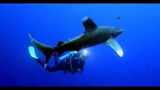 Egypt 2017 - Richard Berný