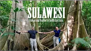 Fabian and Daphne in South East Asia episode 7, Sulawesi - Indonesia