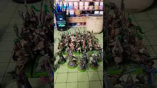 Shadow Warriros, Phoenix Guards, and White Lions of Chrace for High Elf Realms Grand Army!