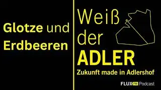Glotze und Erdbeeren