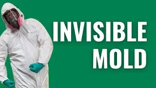 Invisible Mold