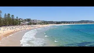 Terrigal Beach  Rock Fishing , Whales Watching, Dogs Park,  Diving etc .. @ Central Coast #travel