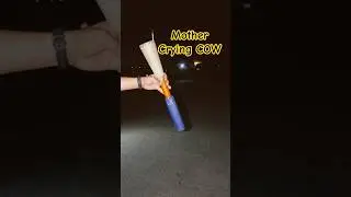 Mother Crying Cow #foryou #fyp #diwali #illuminus #foryoupage #bombshell #fireworks #viral #fypシ