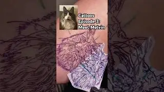 Episode 3-Cattoos🐈&zwj;⬛ #cat #cute #pets #tattoos #realismtattoo #cattattoo #petportrait #petportraits