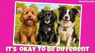 It's ok to be different | Big Little Dog
