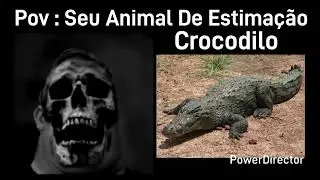 Sr Incr&iacute;vel Perturbado (Seu Animal De Estima&ccedil;&atilde;o)