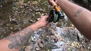 Fly Fishing for Micro Fish / Minnows  [South Central PA]