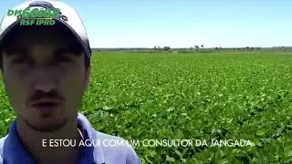 DM66i68 IPRO- MARACAJU/MS