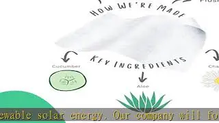 Stall Mates Wipes: Flushable, individually wrapped wipes for travel. Unscented with Vitamin-E & Alo