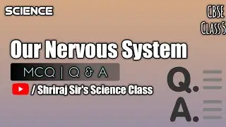 Class 5 | Our Nervous System | MCQ | Questions and Answers #cbse #science