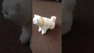 Soft Furry Sensor Moving Beautiful Cat Toy