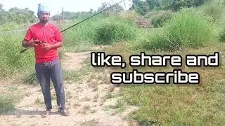 Hooking a snakehead  marralfishing imranfishin