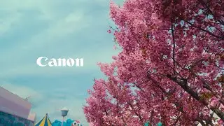 Canon R8 Osaka 4k | Cinematic Video in 2024