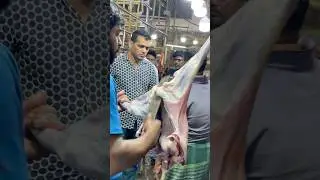 Meat Cutting #specialoccasion #partyfood #eventcatering