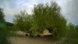 backyard freestyle #3