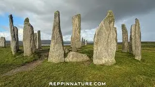 Walking the Circle at Callanish