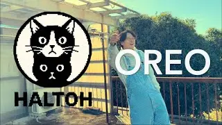 OREO /  Haltoh    （prod. by  BKOJ!）　　　　【Music Video】