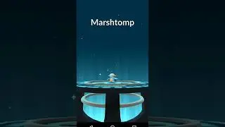 IV 💯 Mudkip Evolution In Pokemon Go | Mudkip Evolution In Pokemon Go #shorts