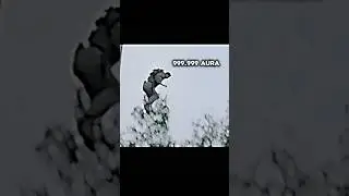 Jackie Chan💀 #shortvideo #JackieChan #edit #sigma #memes #youtubeshorts #aura