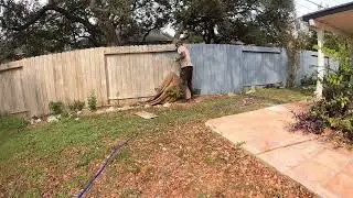 🎨 Fence Staining in San Antonio, TX | Oil-Based Protection