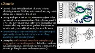PHYSIOLOGY PART 8 ACTIVE WATER ABSORPTION