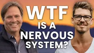 &lsquo;WTF Is A Nervous System?&rsquo; With Jonny Miller
