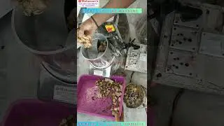 RAW TURMERIC CUTTING MACHINE SLICING AND DICING FOR DETAILS CONTACT ☎️040-66319950📱+91 8074621789