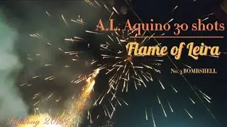 Flame of Leira 30 shots (3