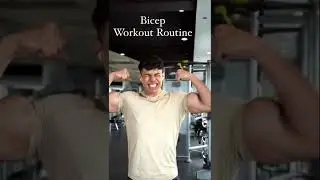 Bicep Workout Routine