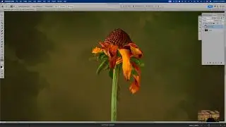 Photoshop Party - Dodge and Burn