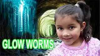 The Glow Worm Tunnel With Zoe