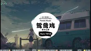 等什么君 - 鸳鸯戏 (抖音DJ版) Deng Shen Me Jun - Yuan Yang Xi『哎呦小情郎你莫愁，此生只为你挽红袖。』【動態歌詞｜Vietsub｜Pinyin Lyrics】