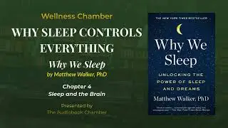 Why Sleep Controls Everything - Why We Sleep | Wellness Chamber | Audiobook Summary