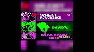 Mr. Easy Punchline  David (Prod. Ronin wild)