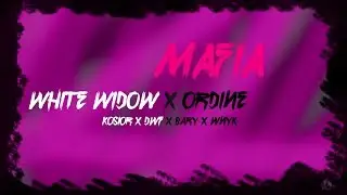 BARY x KOSIOR x DWF x LIL WNYK - MAFIA