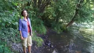 Mystic Corridor - McGregor Park, A Hidden Gem