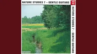 Secrets of Nature