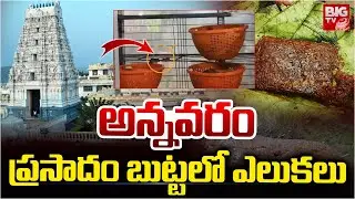 Annavaram Prasadam Basket Rats | Annavaram Prasadam | Annavaram Temple | BIG TV TELUGU