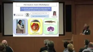 Ocumel Meeting February 2013 (Part 2/5): Professor Sarah Coupland