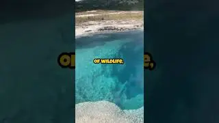 FIRST NATIONAL PARK IN THE WORLD??? #shorts #facts #world