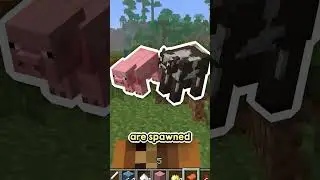 Minecraft Added Some Weird Mobs...