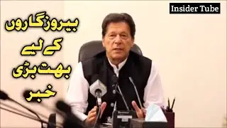 Prime Minister Imran Khan launches Web portal for COVID-19 livelihood-loss-effected