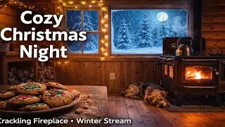 Relaxing Winter Fire Sounds for Stress Relief & Sleep