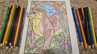 Coloring Otter (Wever) QuickVids Ph