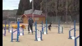 Entrenamiento de conducci&oacute;n de agility en LealCan.
