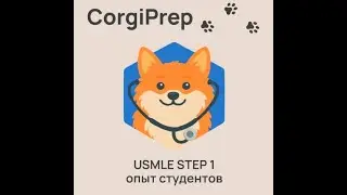 USMLE Step 1: опыт студентов CorgiPrep, Кристина и Настя